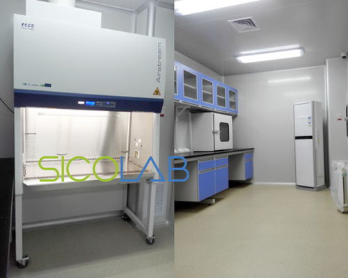 市級醫(yī)院核酸檢測實驗室設計 裝修 建設 改造及儀器設備