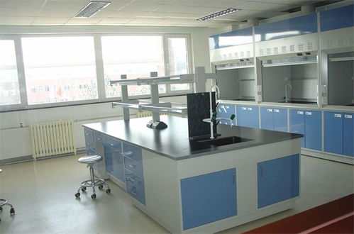 天津鋼木實(shí)驗(yàn)臺批發(fā)按需定制 天津市保全實(shí)驗(yàn)室設(shè)備