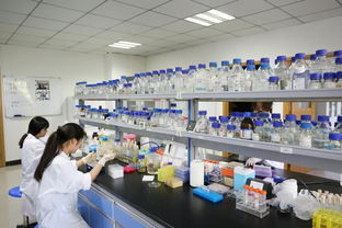 暑假堅守在校園里的身影最美麗