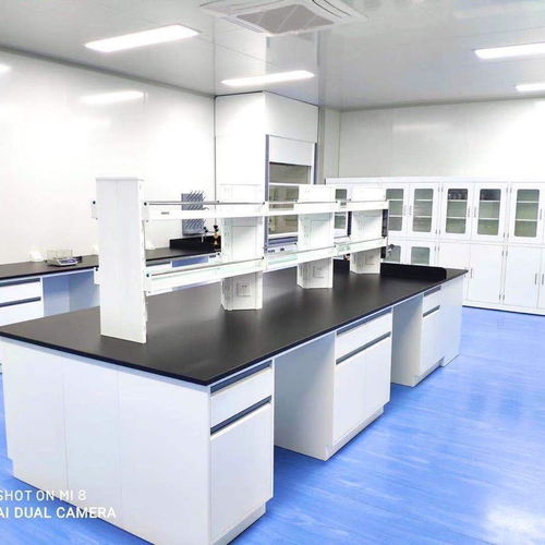 正定縣儀器操作臺 理化板臺面鋼木實驗臺試驗桌 實驗室家具一站式服務(wù)