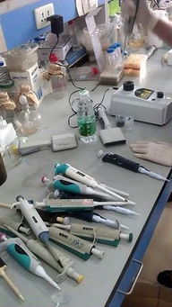 走進實驗室 五洲東方在中山大學舉辦售后服務活動