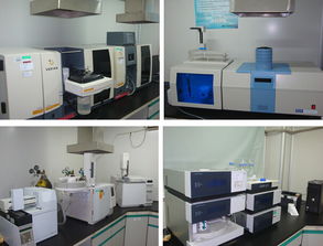 東方藥林 產品從實驗室到生產線的艱難孕育