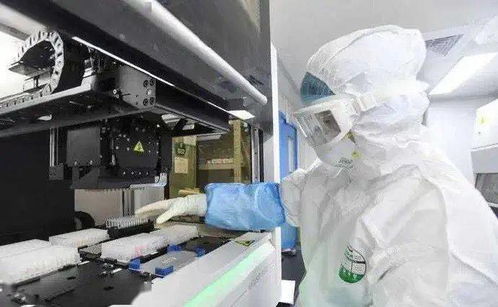 疫情突變 三文魚案板測出新冠,46人感染 病毒首次出現動物傳人,37萬生命被撲殺