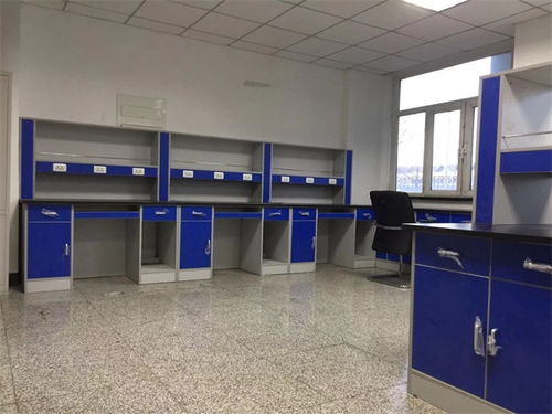 天津pp 實(shí)驗(yàn)臺(tái)批發(fā)服務(wù)為先 保全實(shí)驗(yàn)室設(shè)備