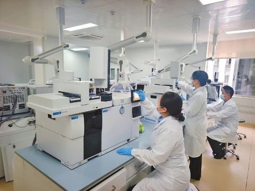 禁毒鑄利劍 多方護安寧